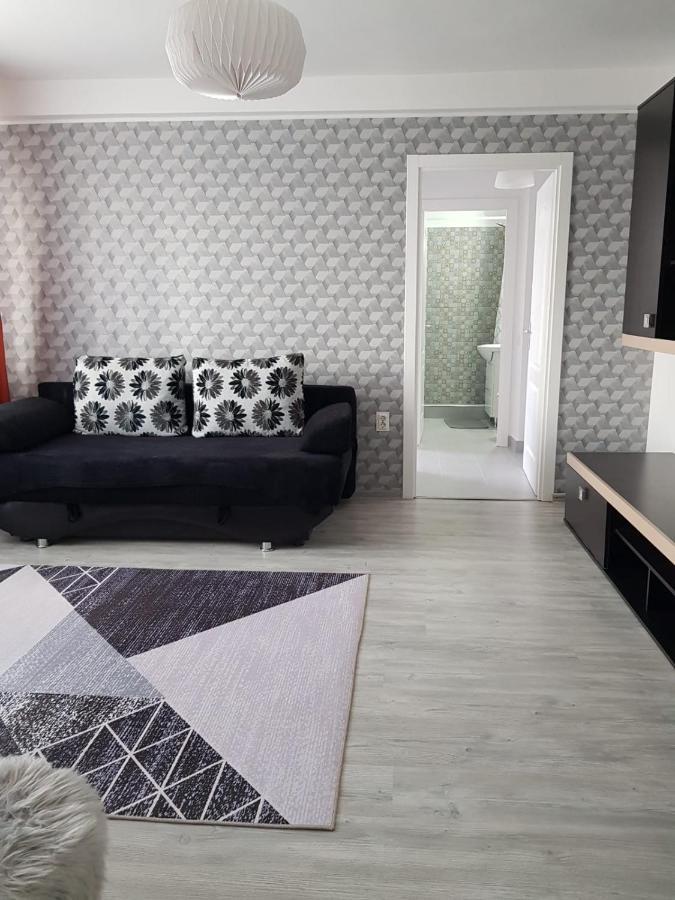 Ana Apartament Râmnicu Vâlcea Exterior foto