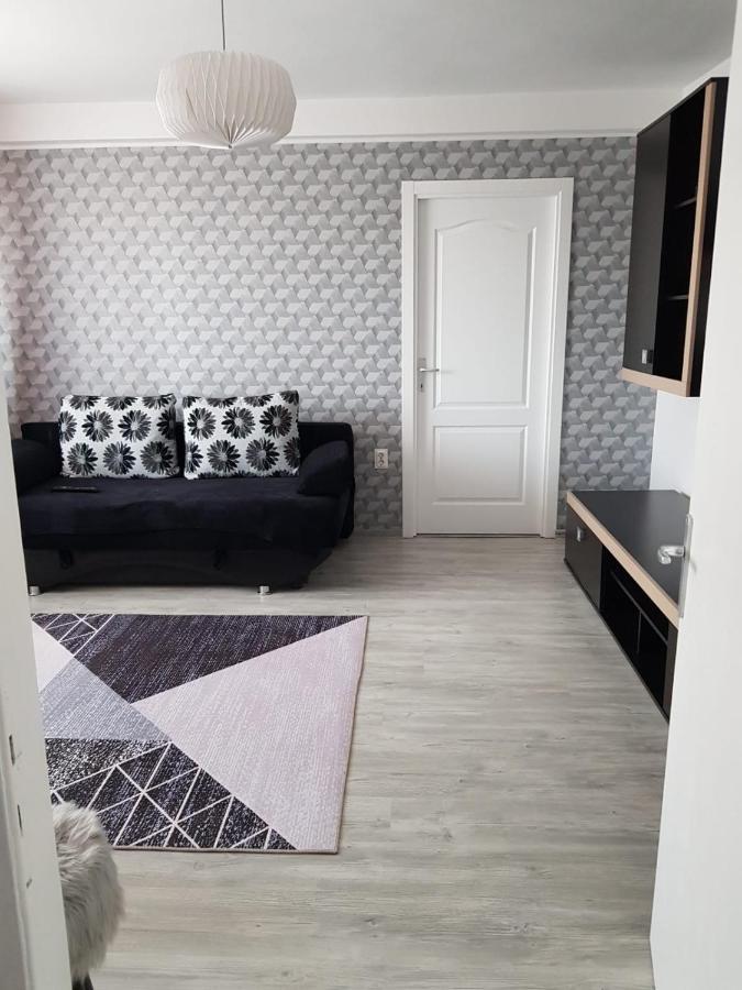 Ana Apartament Râmnicu Vâlcea Exterior foto